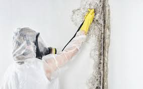 Best Comprehensive Air Testing for Mold Contaminants in Monroe, UT